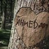 Avatar of Ahmed.Gahlan.Almaqzengy