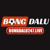 Avatar of Bongdalu