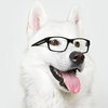 Avatar of iGor_Getman