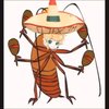Avatar of KokichisShoes
