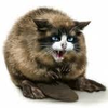 Avatar of cs4202138