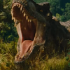Avatar of EmbertheTyrannosaurus2025YT