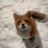 Avatar of bogus_bogus