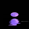 Avatar of Right_333