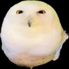 Avatar of Romelol