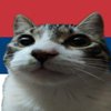 Avatar of jetfkvad