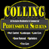 Avatar of CollingPest