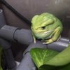 Avatar of topikworld