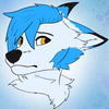 Avatar of Colin Elips