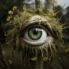Avatar of Sevast Nikon