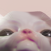 Avatar of CinniBops