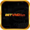 Avatar of betvndfun1