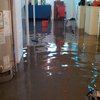 Avatar of Flood Damage Restoration Wollongong