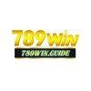 Avatar of 789winguide
