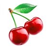 Avatar of Cherrydox