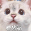 Avatar of LuoHui