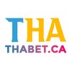Avatar of thabet sbs