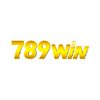 Avatar of Đăng Ký 789WIN