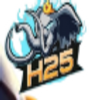 Avatar of h25online