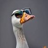 Avatar of CubicZodiac