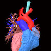 Avatar of Congenital Heart Defect Modeling Project