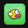 Avatar of FlappyBird