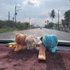 Avatar of 910904amy