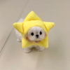 Avatar of pinkku