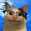 Avatar of jyoovision