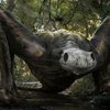 Avatar of RawrationWrath