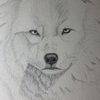 Avatar of Fortresswolf