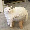 Avatar of Hawking_Chou
