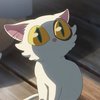 Avatar of devora