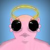Avatar of cajgriso
