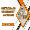 Avatar of CompTIA Analyst