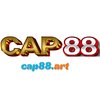 Avatar of Cap88