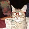 Avatar of twvneb