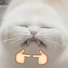 Avatar of PnGDMrtn