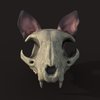 Avatar of Akilihin