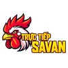Avatar of Trực Tiếp Đá Gà