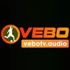 Avatar of vebotvaudio