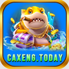 Avatar of Cá Xèng