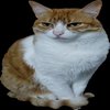 Avatar of solhyk