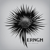 Avatar of ERINGIUM