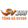 Avatar of sv388tong