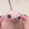 Avatar of Bmouse