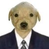 Avatar of pamsb
