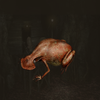 Avatar of Hambley