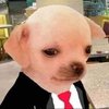 Avatar of MfPoool