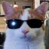 Avatar of krawzer15